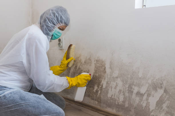 Crawl Space Mold Removal in Zumbrota, MN