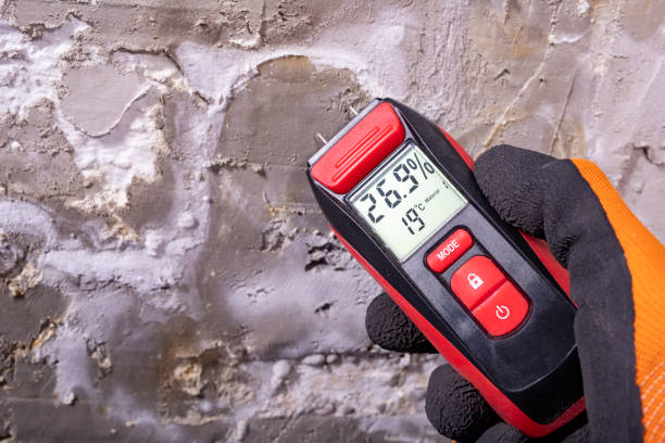Attic Mold Removal in Zumbrota, MN